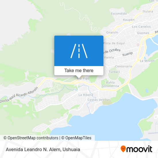 Avenida Leandro N. Alem map