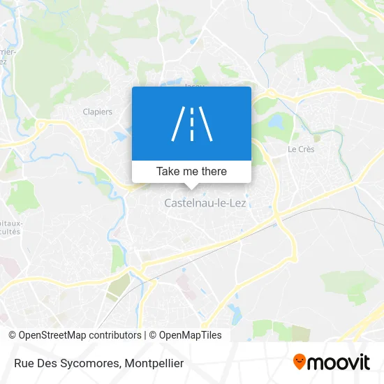 Rue Des Sycomores map
