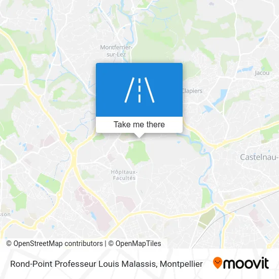 Rond-Point Professeur Louis Malassis map