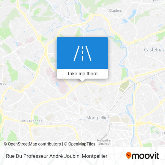 Rue Du Professeur André Joubin map