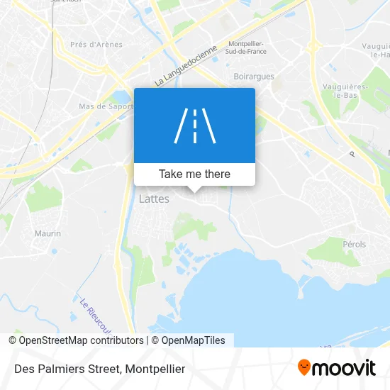 Rue Des Palmiers map