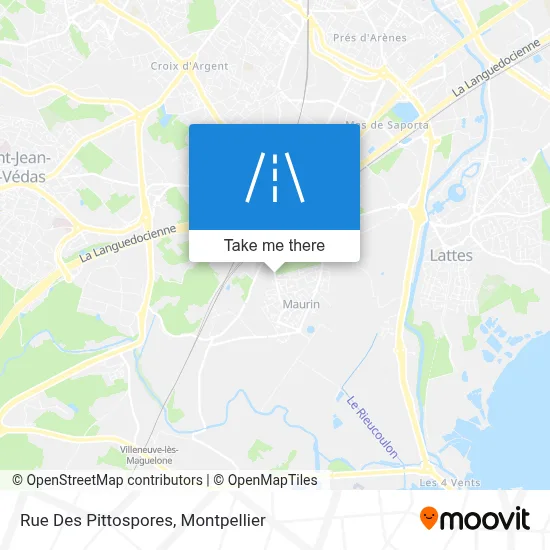 Rue Des Pittospores map