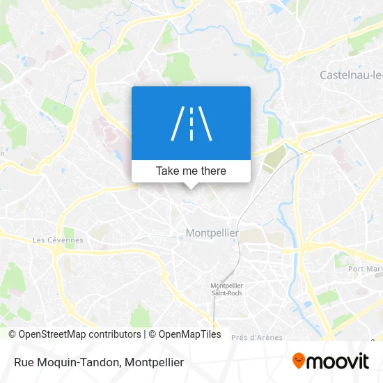 Rue Moquin-Tandon map