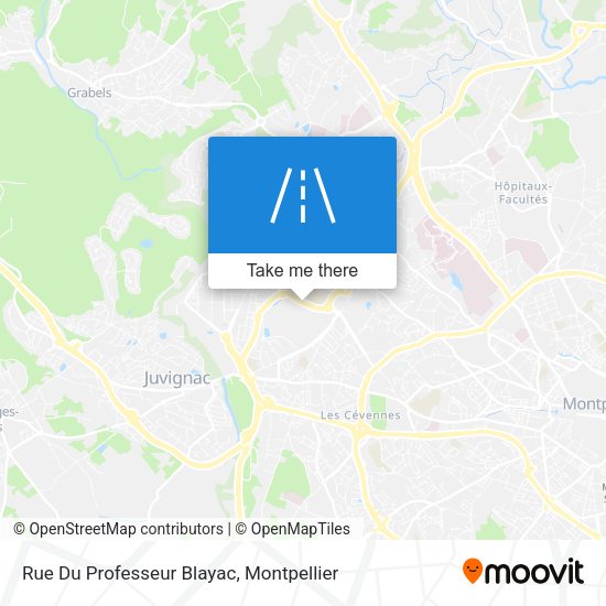 Rue Du Professeur Blayac map