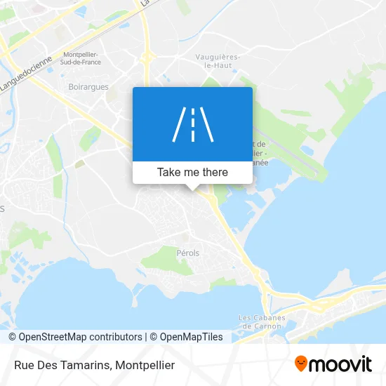 Rue Des Tamarins map