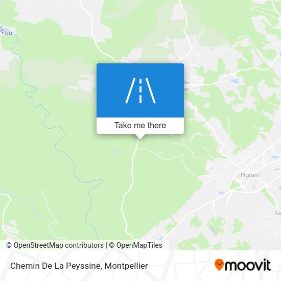 Chemin De La Peyssine map