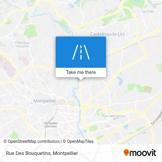 Rue Des Bouquetins map