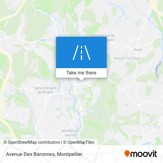 Avenue Des Baronnes map
