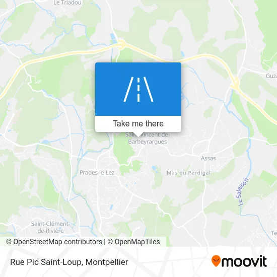 Rue Pic Saint-Loup map