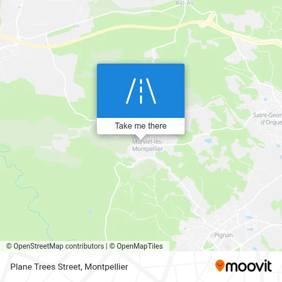 Rue Des Platanes map