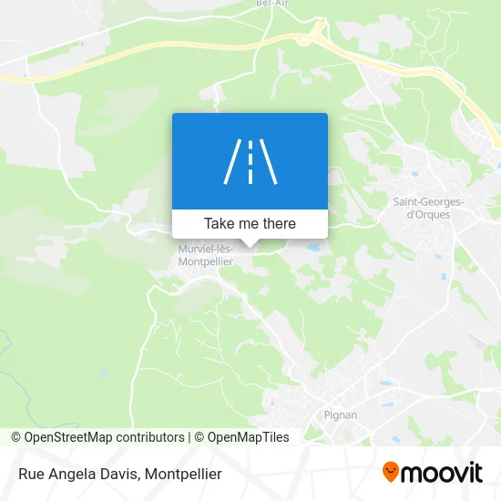 Rue Angela Davis map