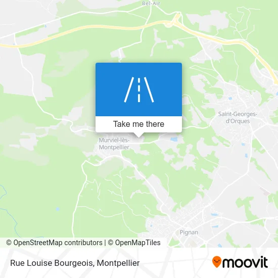 Rue Louise Bourgeois map