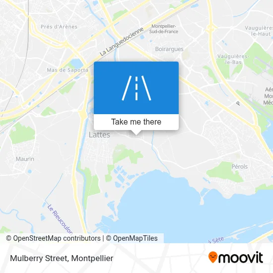 Rue Des Mûriers map