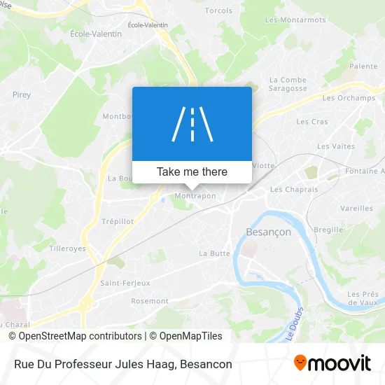 Rue Du Professeur Jules Haag map