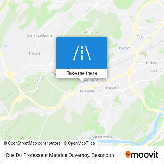 Rue Du Professeur Maurice Duvernoy map