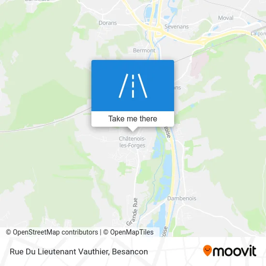 Rue Du Lieutenant Vauthier map