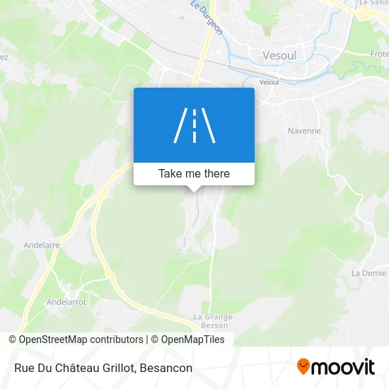 Rue Du Château Grillot map