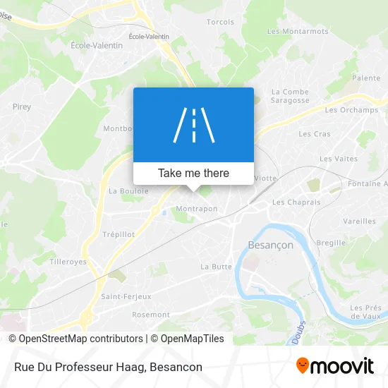 Rue Du Professeur Haag map