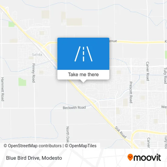 Blue Bird Drive map