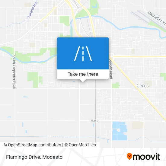 Flamingo Drive map