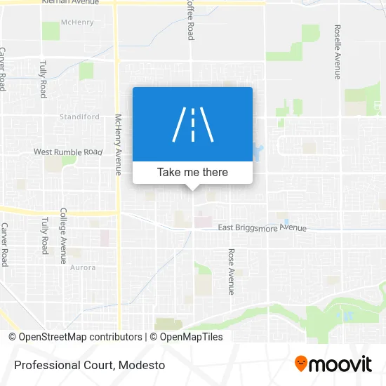 Professional Court map