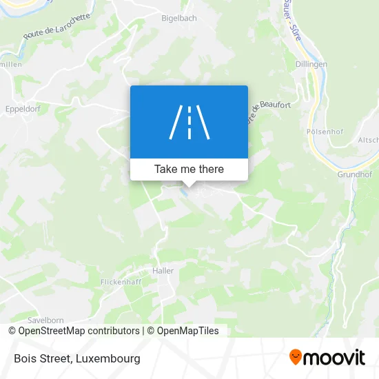 Rue Du Bois map