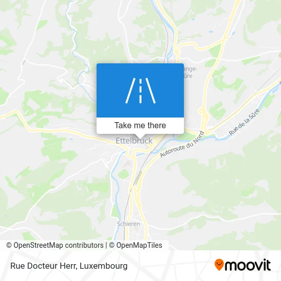 Rue Docteur Herr Karte