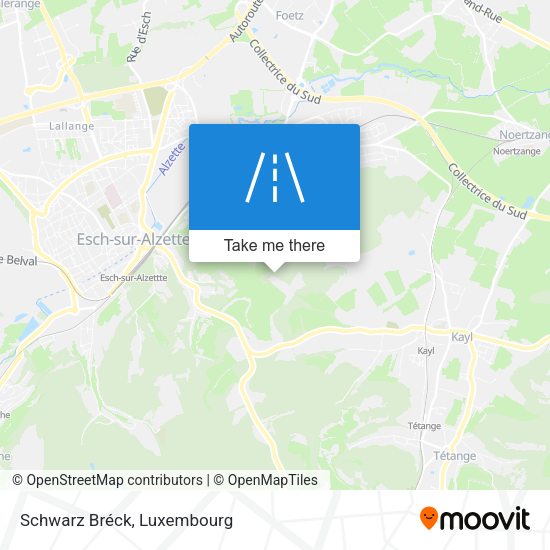 Schwarz Bréck map