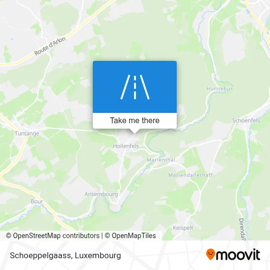Schoeppelgaass map