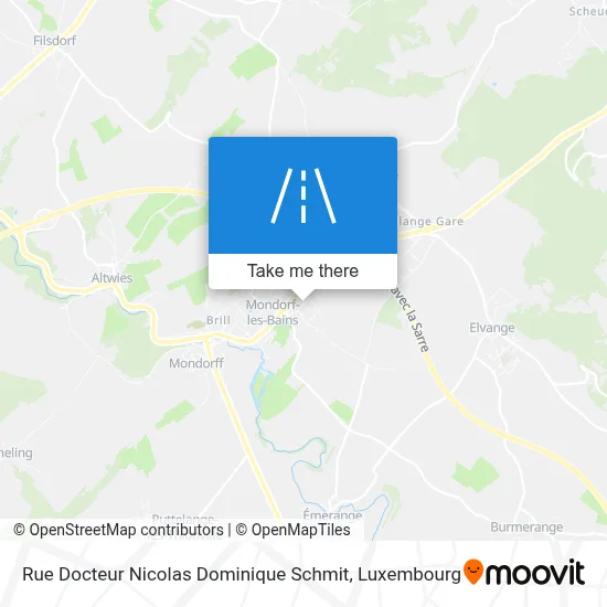 Rue Docteur Nicolas Dominique Schmit map