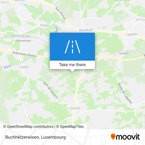 Buchhëlzerwisen map