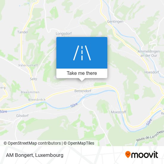 AM Bongert map