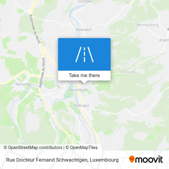 Rue Docteur Fernand Schwachtgen map