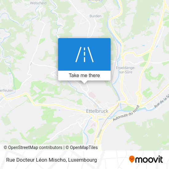 Rue Docteur Léon Mischo map