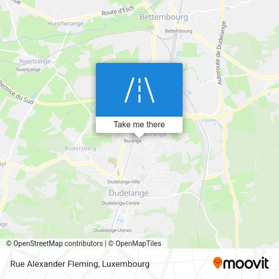 Rue Alexander Fleming map