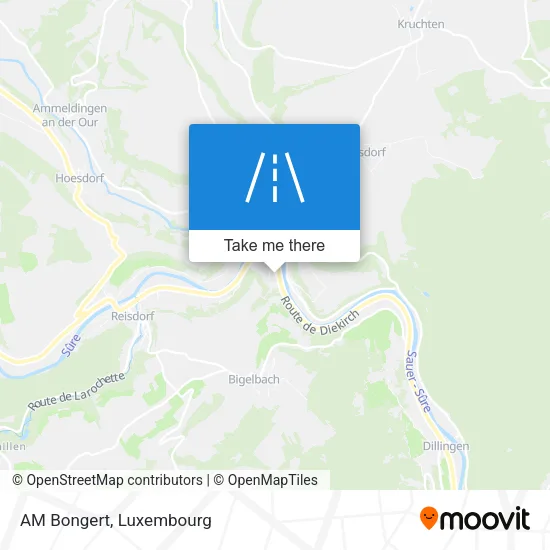 AM Bongert map