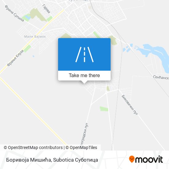 Боривоја Мишића map