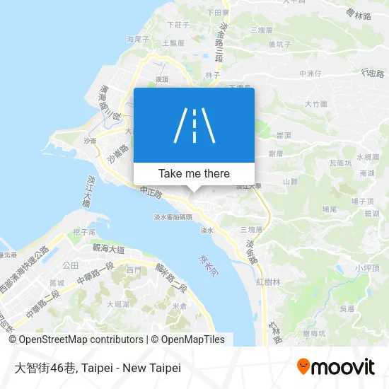 大智街46巷地圖
