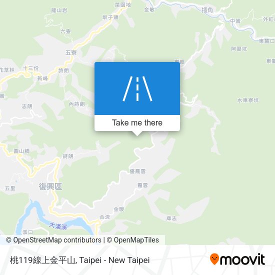 桃119線上金平山 map