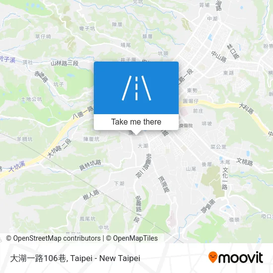 大湖一路106巷 map