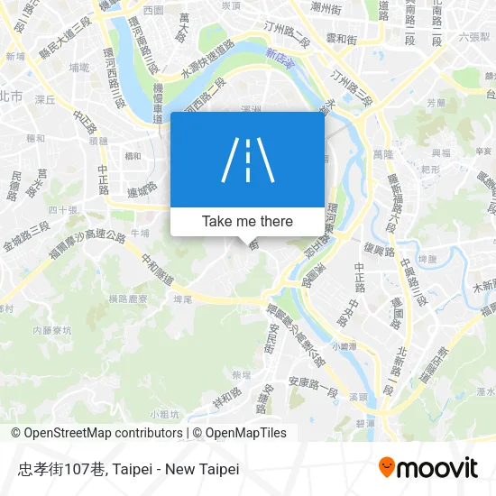 忠孝街107巷地圖