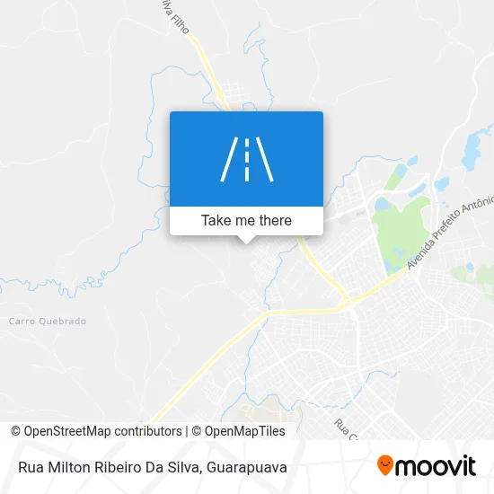 Rua Milton Ribeiro Da Silva map