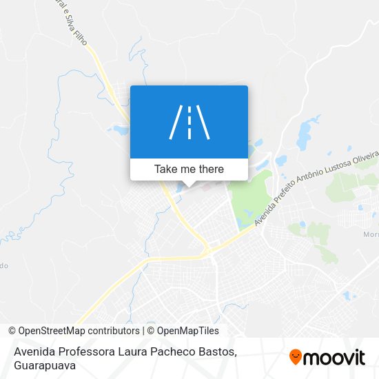 Avenida Professora Laura Pacheco Bastos map