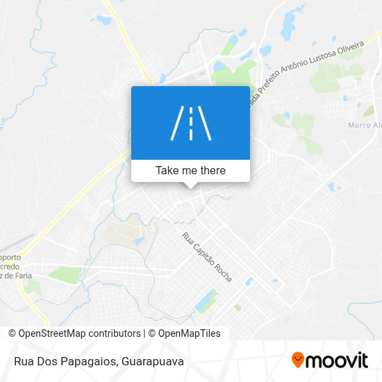 Rua Dos Papagaios map