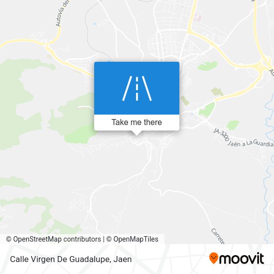 Calle Virgen De Guadalupe map