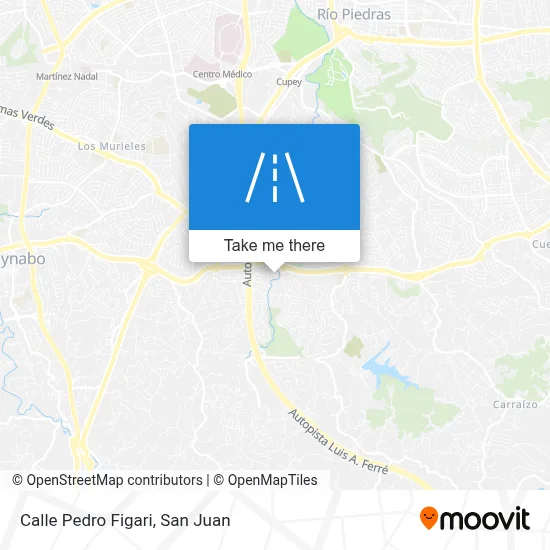 Calle Pedro Figari map