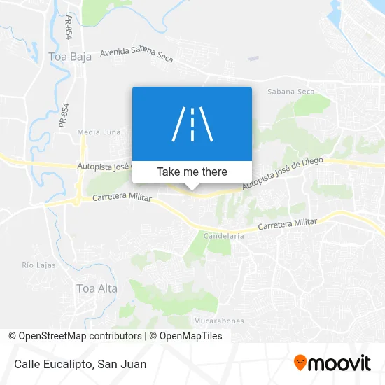 Calle Eucalipto map