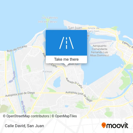 Calle David map
