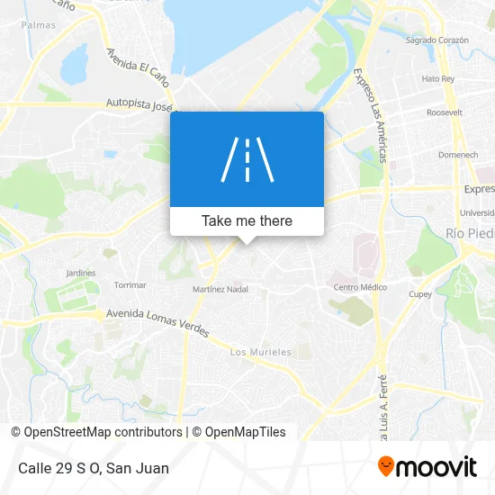 Calle 29 S O map