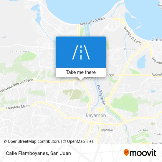 Calle Flamboyanes map